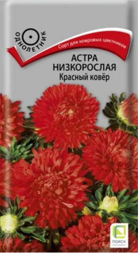 Астра Красный Ковёр низкорослая цв.п 0,2гр Поиск