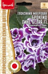 Глоксиния Брокейд Сине-Белая F1 махровая (Brocade Blue & White) цв.п 4шт ИП Григорьев