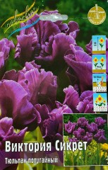 Тюльпан Виктория Сикрет (Попугайный) Color Line