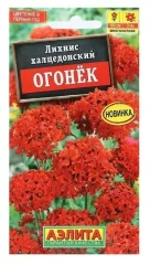 Лихнис Халцедонский Огонек цв.п 0,1гр Аэлита