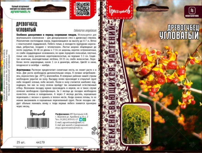 Древогубец Угловатый цв.п 25шт ИП Григорьев