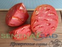 Томат Подсинское Чудо цв.п 10шт Медведев