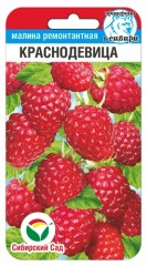 Малина Краснодевица цв.п 10шт Сибирский Сад