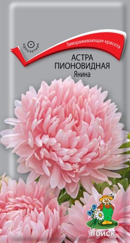 Астра Янина пионовидная цв.п 0,3гр Поиск