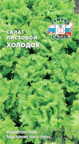 Салат Холодок листовой цв.п 0,5гр СеДек