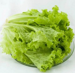 Салат Холодок листовой цв.п 0,5гр СеДек