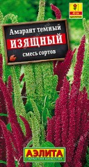 Амарант тёмный Изящный цв.п 0,3гр Аэлита