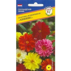 Георгина Блади Мари цв.п 20шт Престиж