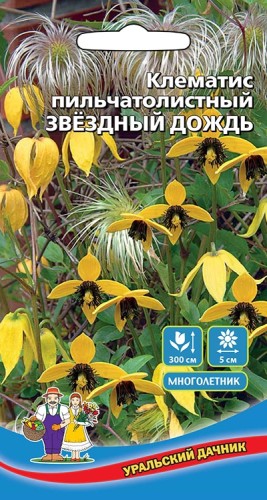Клематис Звёздный Дождь цв.п 12шт Уральский Дачник