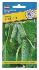 Огурец Бьерн F1 цв.п 5шт Престиж