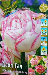 Тюльпан Дабл Тач (Хамелион+Махровый) Color Line