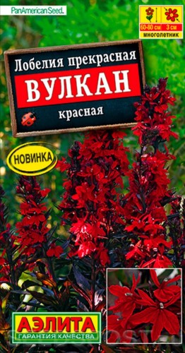 Лобелия Вулкан красная цв.п 5шт Аэлита