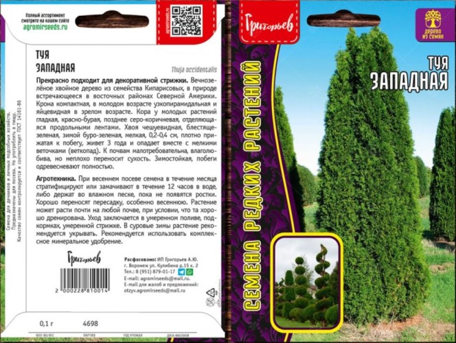 Туя Западная цв.п 0,1гр	ИП Григорьев
