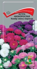 Астра Ковёр Смесь Окрасок низкорослая цв.п 0,2гр Поиск