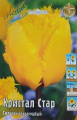 Тюльпан Кристал Стар (Бахромчатый) Color Line