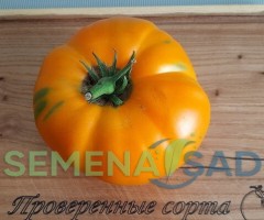 Томат Сызранский Оранжевый цв.п 10шт Медведев