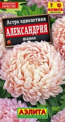 Астра Александрия Шамоа цв.п 0,1гр Аэлита