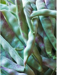 Фасоль Мечта Хозяйки цв.п 5гр Гавриш