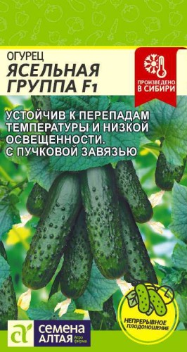 Огурец Ясельная Группа F1 цв.п 5шт Семена Алтая