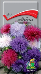 Астра Тиеса Стар Микс низкорослая цв.п 0,2гр Поиск