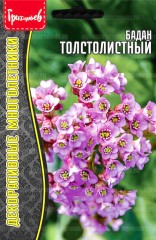 Бадан Толстолистный цв.п 0,01гр ИП Григорьев