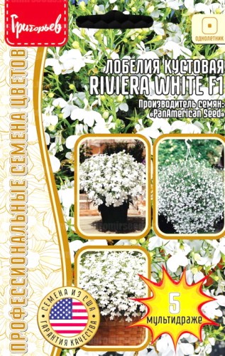 Лобелия Riviera Riviera White F1 кустовая цв.п 5шт ИП Григорьев