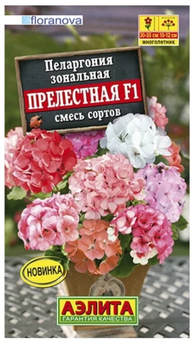 Пеларгония Прелестная смесь сортов F1 Аэлита