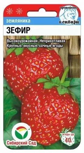 Клубника Зефир (Земляника садовая) цв.п 10шт Сибирский Сад