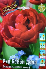 Тюльпан Ред Бейби Долл (Махровый Ранний) Color Line