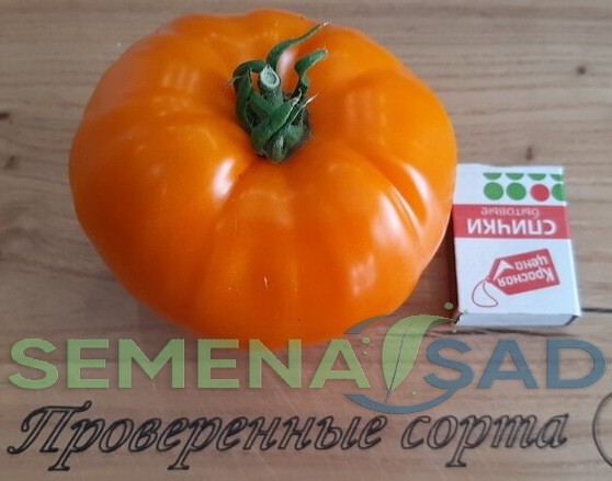 Томат Янтарный Мёд цв.п 10шт Медведев