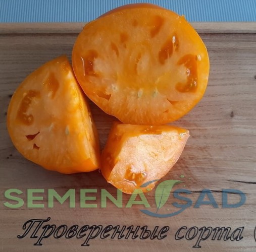 Томат Янтарный Мёд цв.п 10шт Медведев