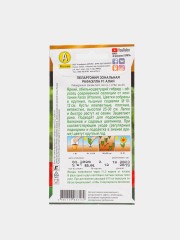 Пеларгония Рафаэлла Алая F1 Аэлита