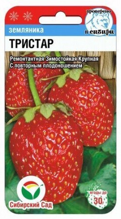 Клубника Тристар (Земляника садовая) цв.п 10шт Сибирский Сад