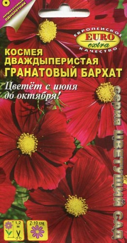 Космея Гранатовый Бархат дваждыперистая цв.п 0.3гр Аэлита
