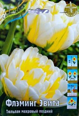 Тюльпан Флэминг Эвита (Махровый Поздний) Color Line