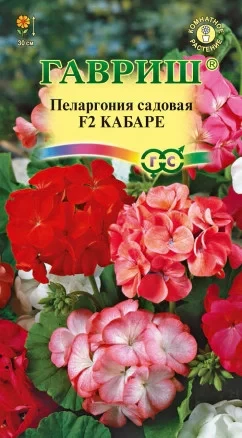 Пеларгония садовая Кабаре F2 цв.п 4шт Гавриш