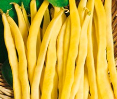 Фасоль Неженка цв.п 20шт Поиск