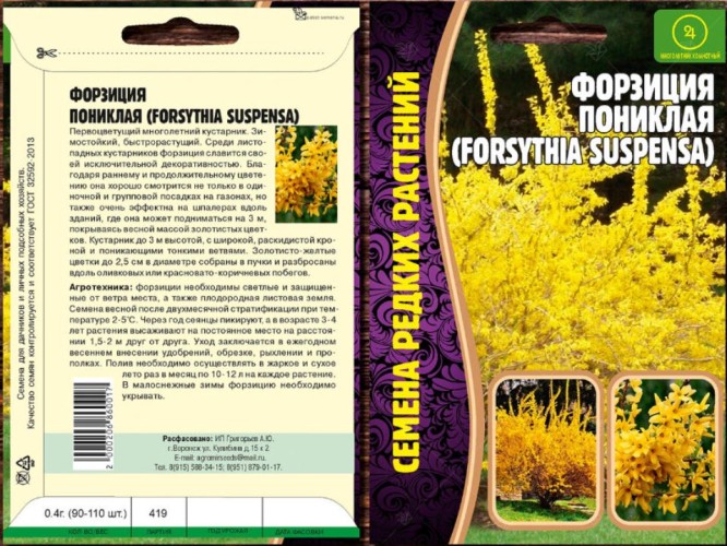Форзиция Пониклая (Forsythia Suspensa) цв.п 20шт	ИП Григорьев
