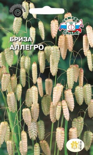 Бриза Максима Аллегро (Трясунка Большая) цв.п 0,5гр, СеДек