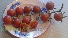 Томат Вишня Черная цв.п 10шт Медведев