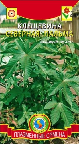 Клещевина Северная Пальма цв.п 5шт Плазмас