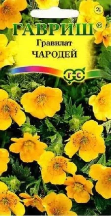 Гравилат Чародей цв.п 0.1гр Гавриш