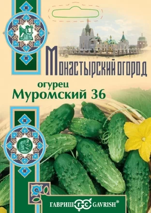 Огурец Муромский 36 цв.п 0.5гр Гавриш