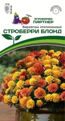 Бархатцы Строберри Блонд цв.п 10шт Партнёр