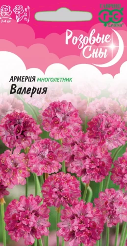 Армерия Валерия цв.п 0,02гр Гавриш