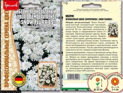 Иберис Snow Flurries вечнозеленый цв.п 5шт ИП Григорьев