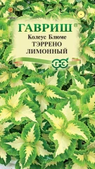 Колеус Блюме Тэррено Лимонный цв.п 4шт Гавриш