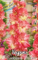 Гладиолус Курск Colorline