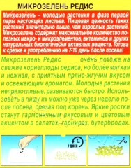 Микрозелень Редис цв.п 3гр Аэлита