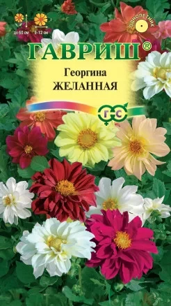 Георгина Желанная цв.п 0,3гр Гавриш